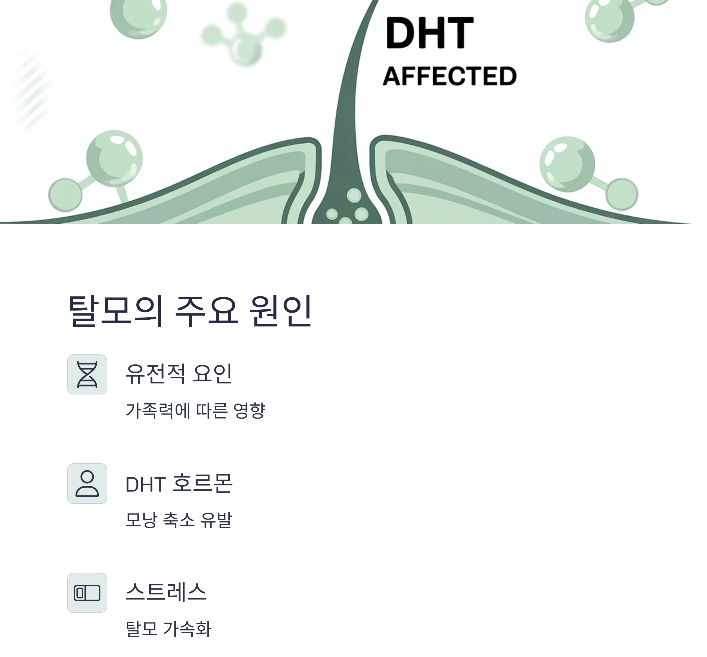 중년 남성 탈모, 과연 해결할 수 있을까? 효과적인 방법 총정리