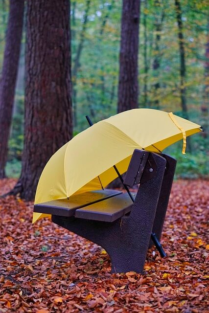 11월 인사말 모음 10가지 (좋은글귀&amp;#44; 짧은글귀)