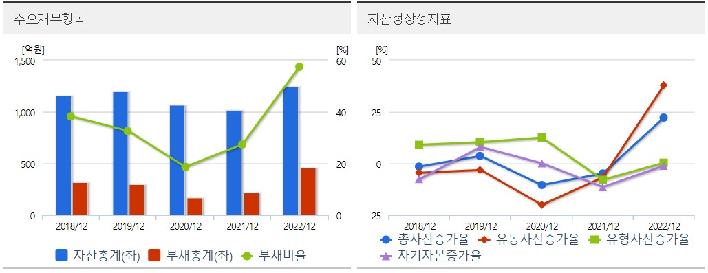 선익시스템 재무분석표