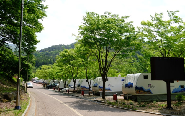 치악산 구룡캠핑장 모습