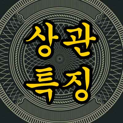 상관 특징