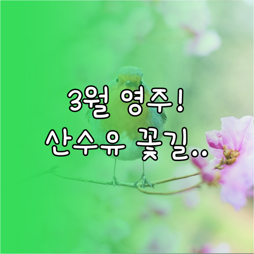 영주 가볼만한곳 3월 추천 명소와 산..