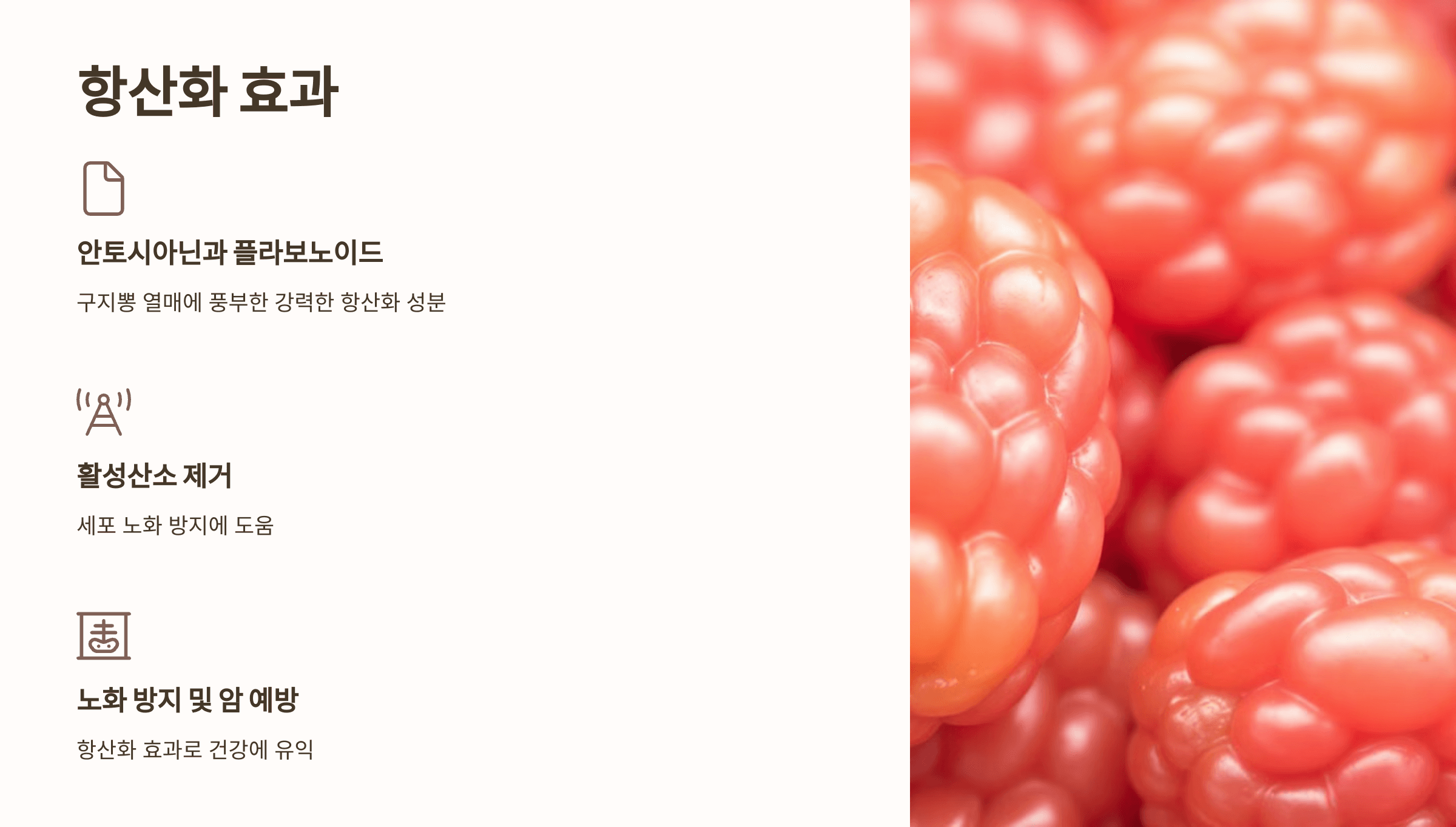 구지뽕 사진입니다.