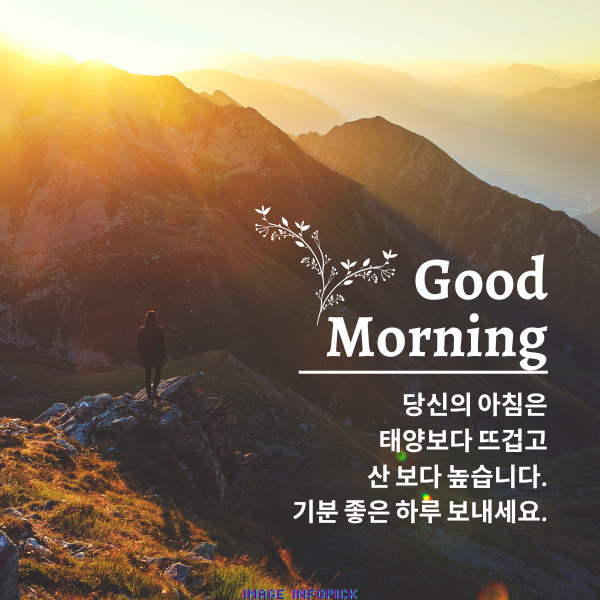 아침 인사로 좋은 글 이미지 아침 인사말 문구 모음