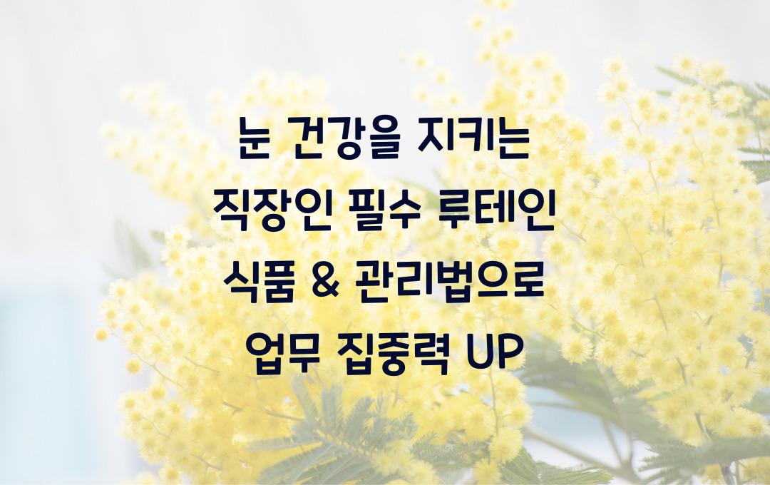 눈 건강을 지키는 직장인 필수 루테인 식품 & 관리법