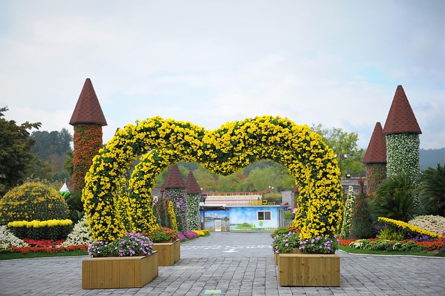 경기도 아침고요수목원 들국화 전시회 🌼 