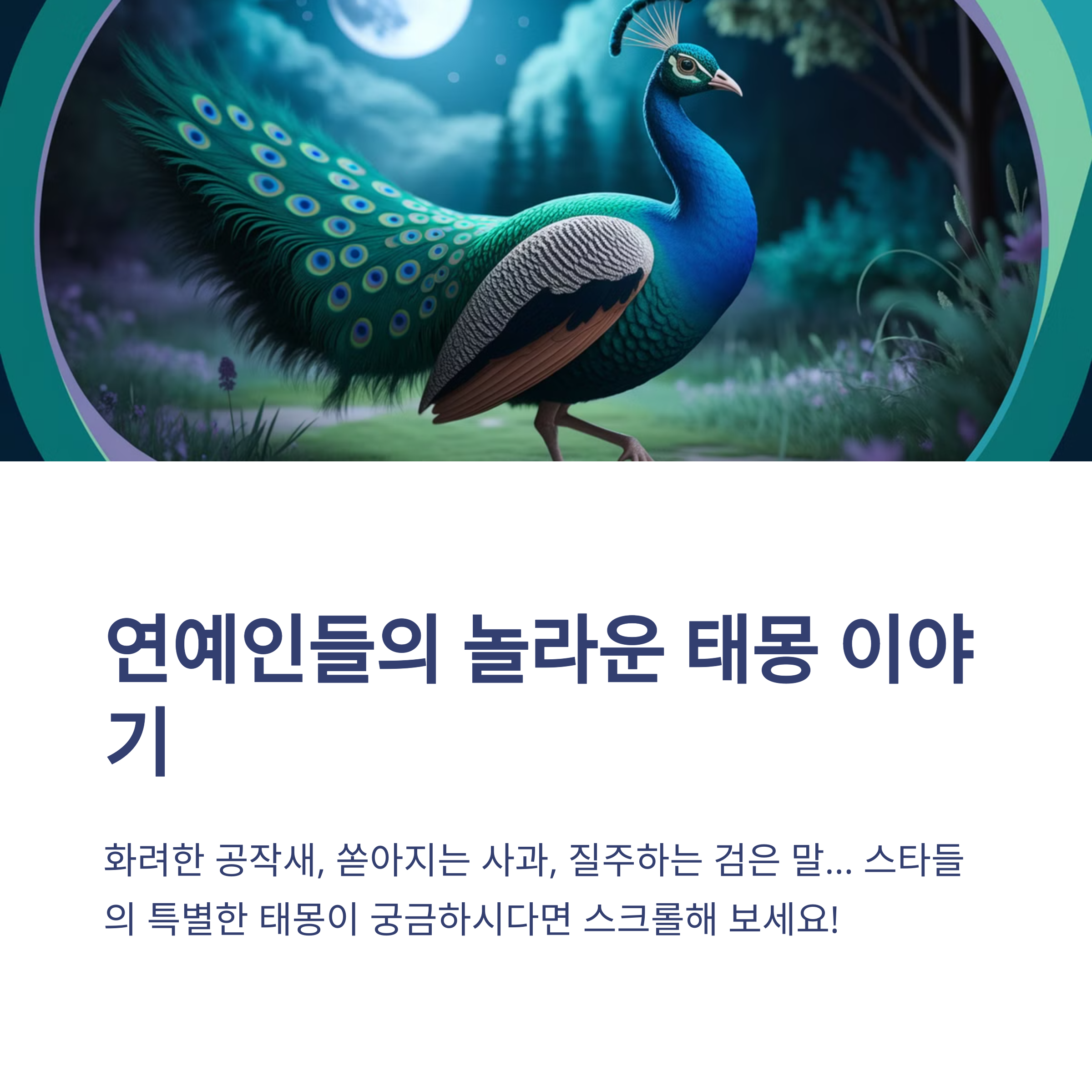 연예인들의 태몽 이야기 5탄
