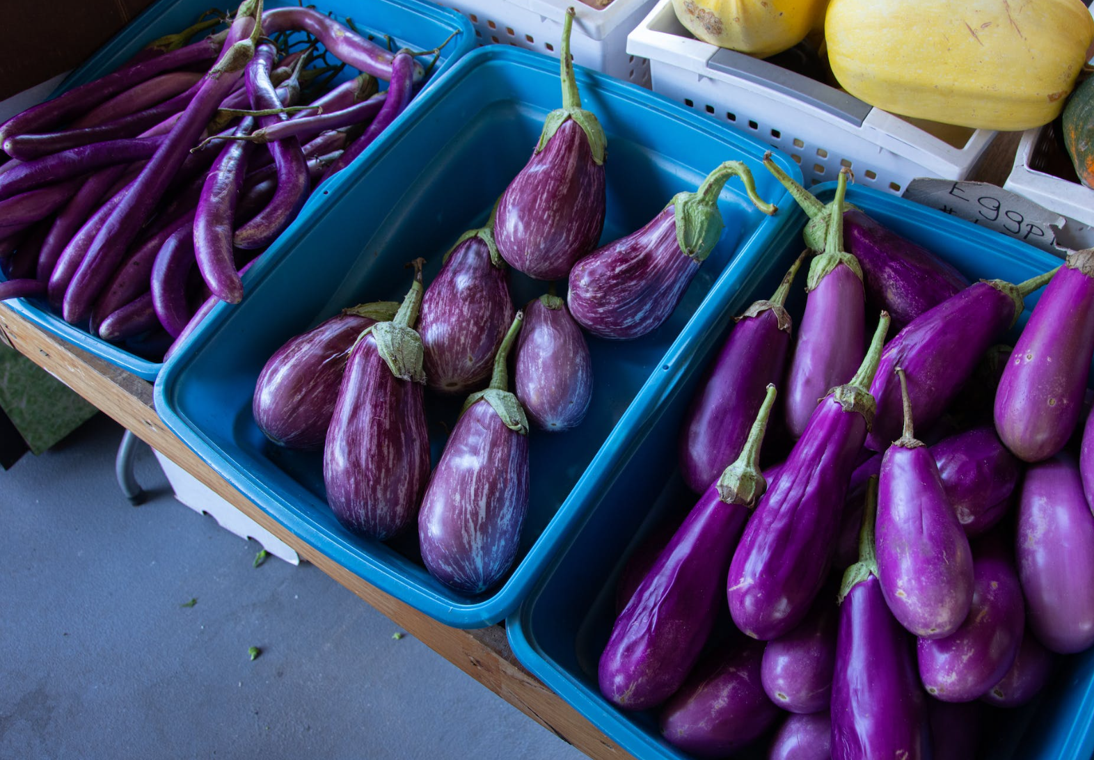 가지의 효능 가지채소의 효과