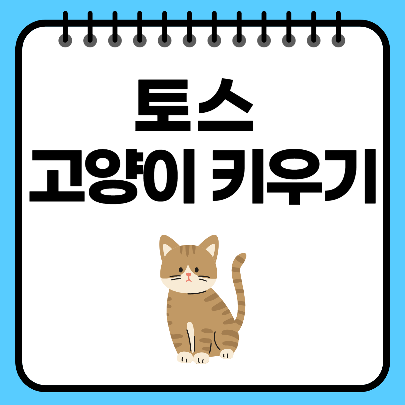 토스 고양이 키우기! 레벨 빠르게 올리는 방법 공유