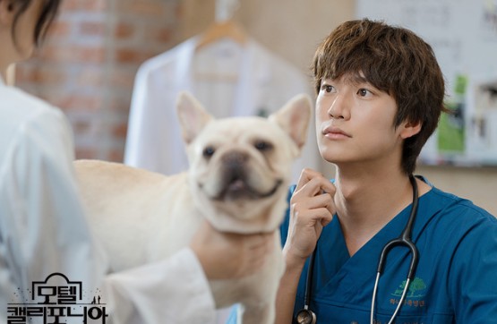 모텔 캘리포니아 드라마 정보,출연진,등장인물,관전 포인트