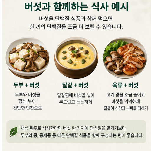 두부와 버섯 볶음 달걀 버섯 요리 고기와 버섯을 함께 구성한 식사 예시