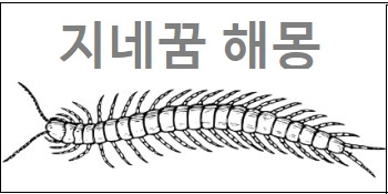 지네꿈 해몽