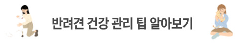 반려견 건강 관리 팁