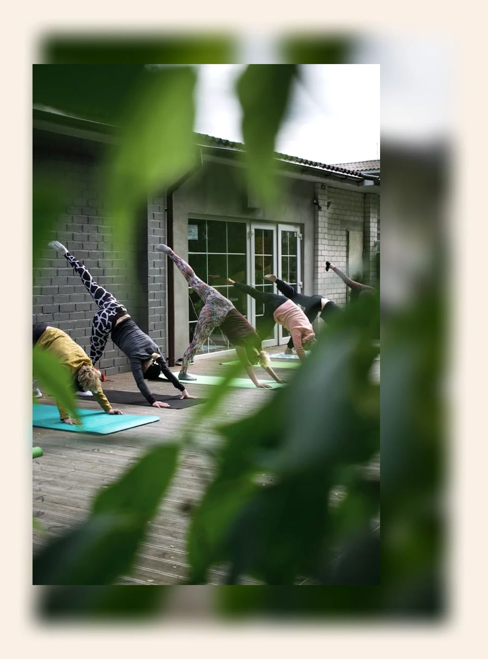 심혈관 건강_3_subsection