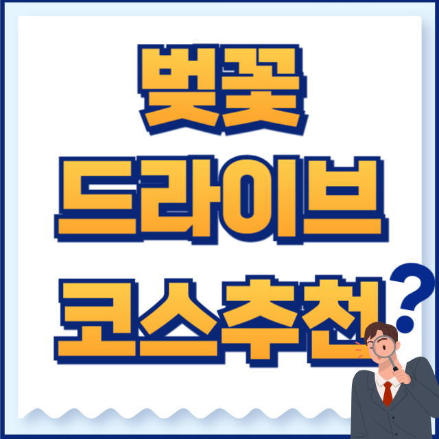 벚꽃 드라이브 코스