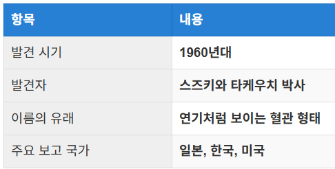 이름의 유래와 역사