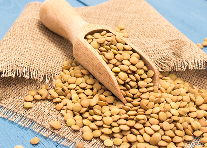 도정하지 않은 갈색 렌틸콩