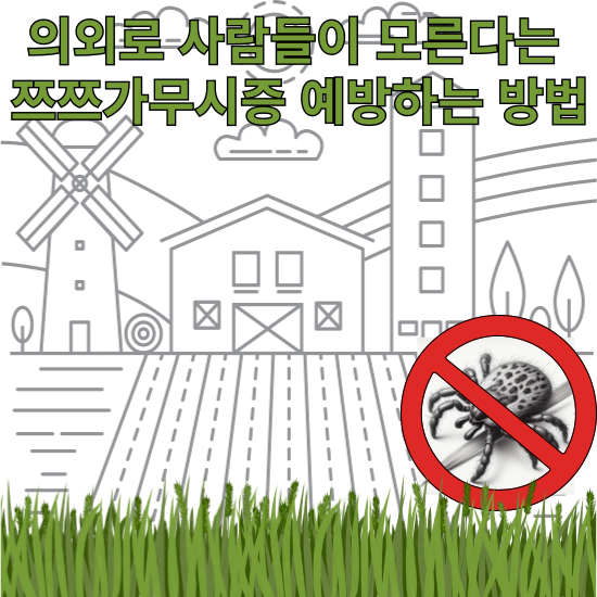 쯔쯔가무시증