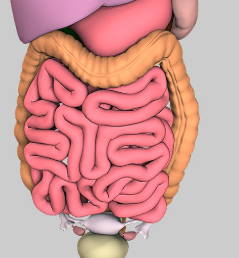 소장 대장의 모습