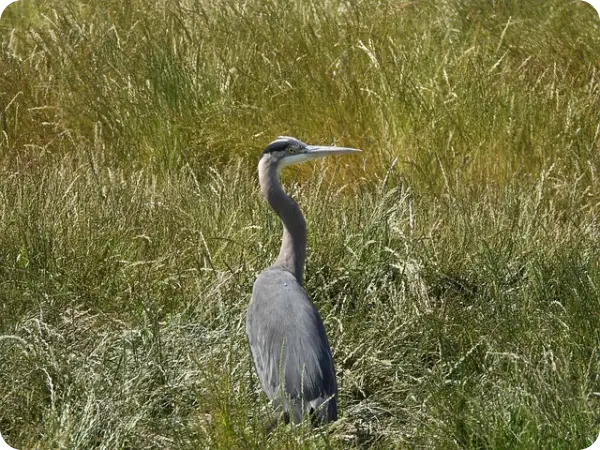 부산청년 기쁨두배통장