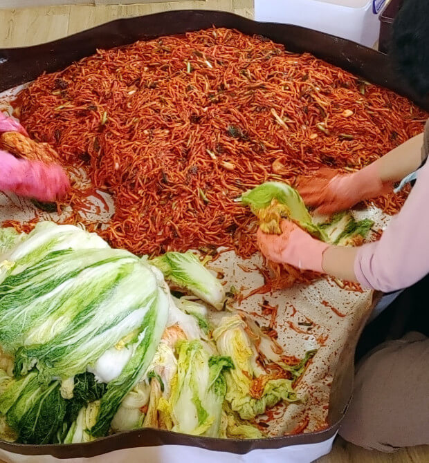 절임배추 20kg 양념 레시피