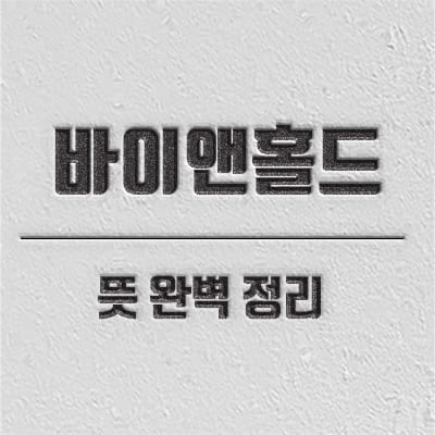 바이앤홀드 개념 소개