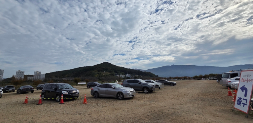 양산 아이와 가볼 만한 곳 : 황산공원 국화축제(11월) & 불빛정원(1월) 방문 후기