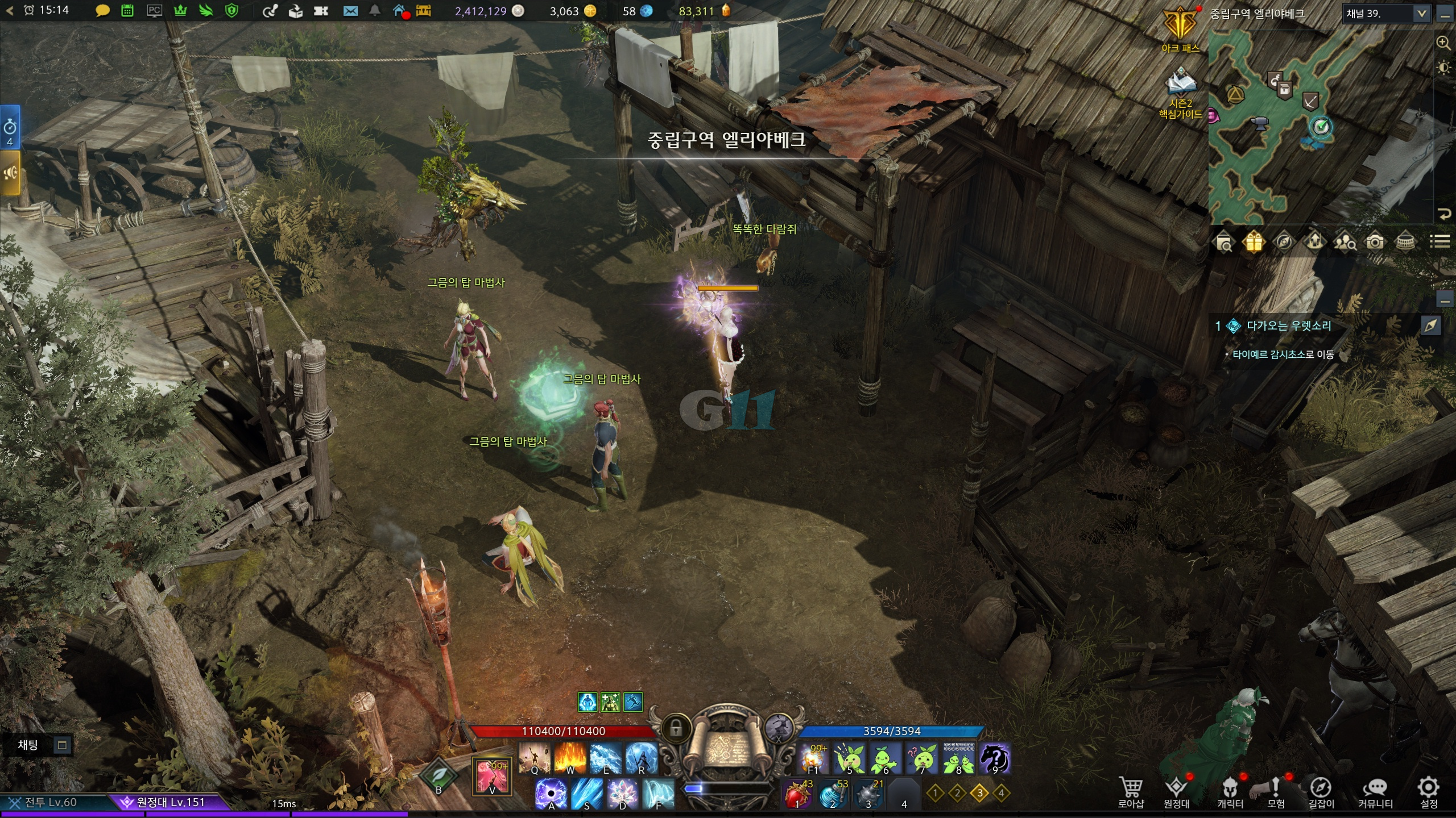 어금니의강 모코코