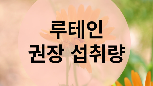 루테인 권장 섭취량