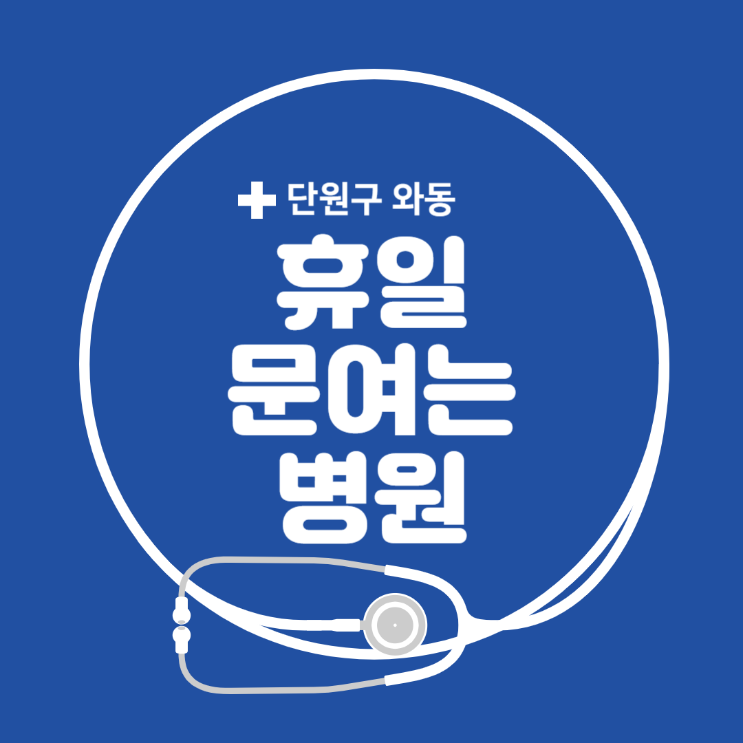 경기도 안산시 단원구 와동 일요일 진료 휴일 문 여는 병원