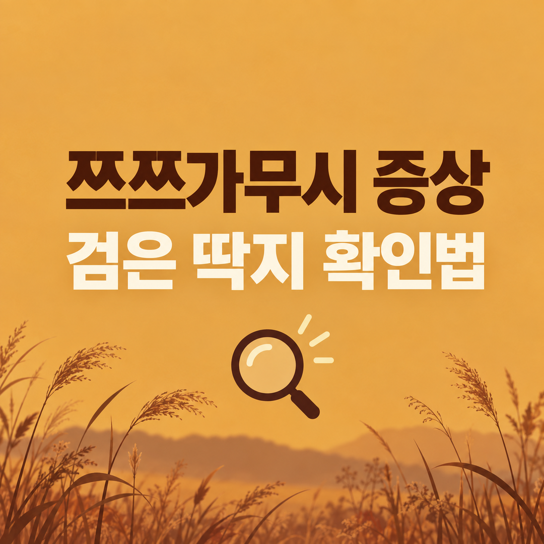 쯔쯔가무시 증상과 검은 딱지 확인법 썸네일