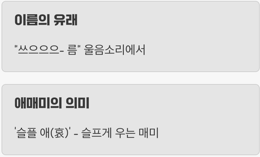 저녁 연주회의 주인공, '쓰름매미'