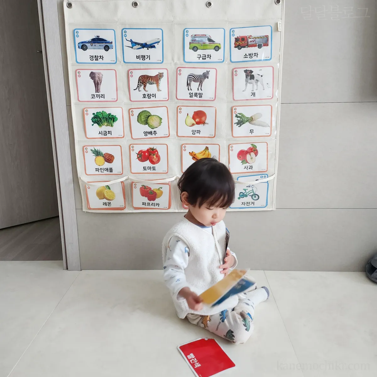 낱말카드정리함