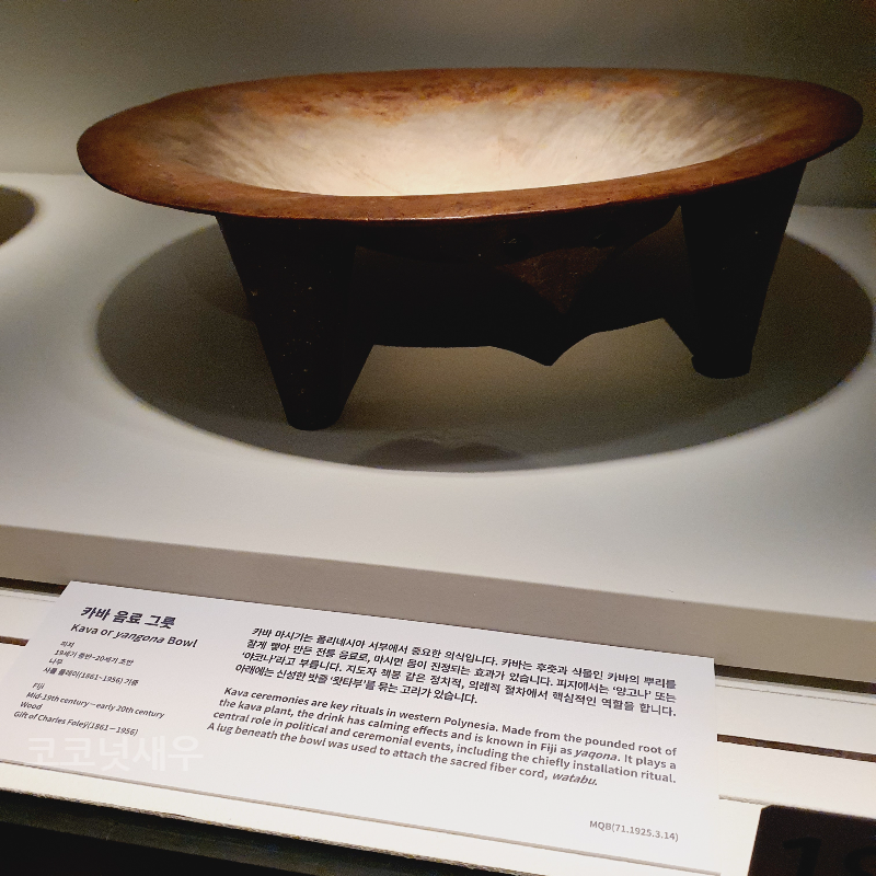 카바 음료 그릇