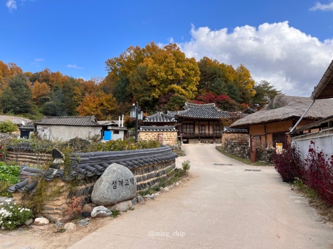 영주 무섬마을: 시간마저 쉬어가는 고즈넉한 풍경 속으로 관련 사진