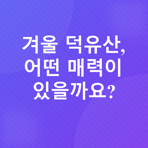 덕유산 눈꽃 여행_1