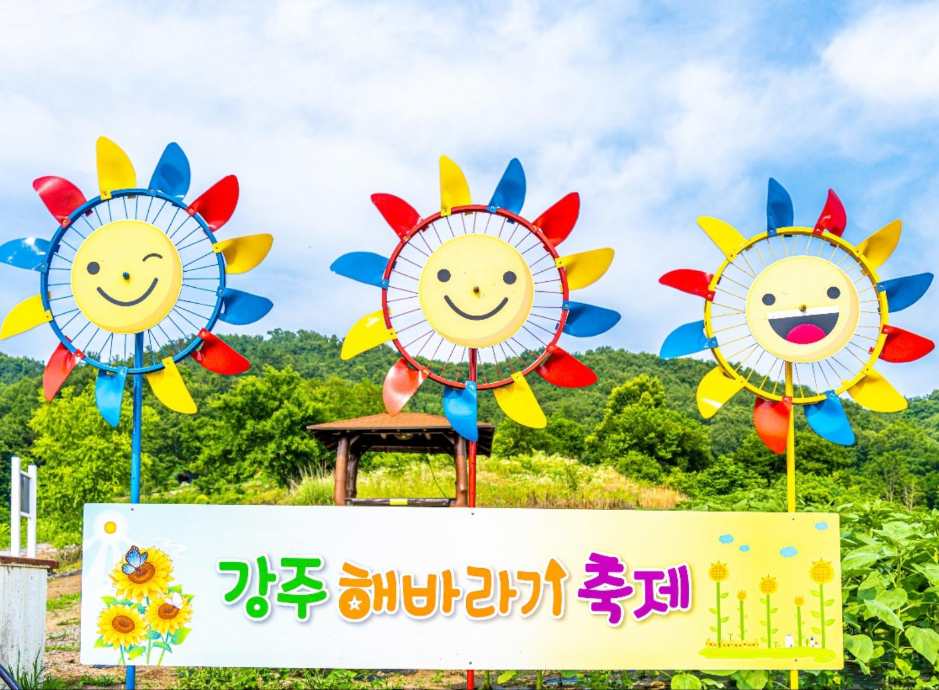 함안 강주해바라기 축제 사진