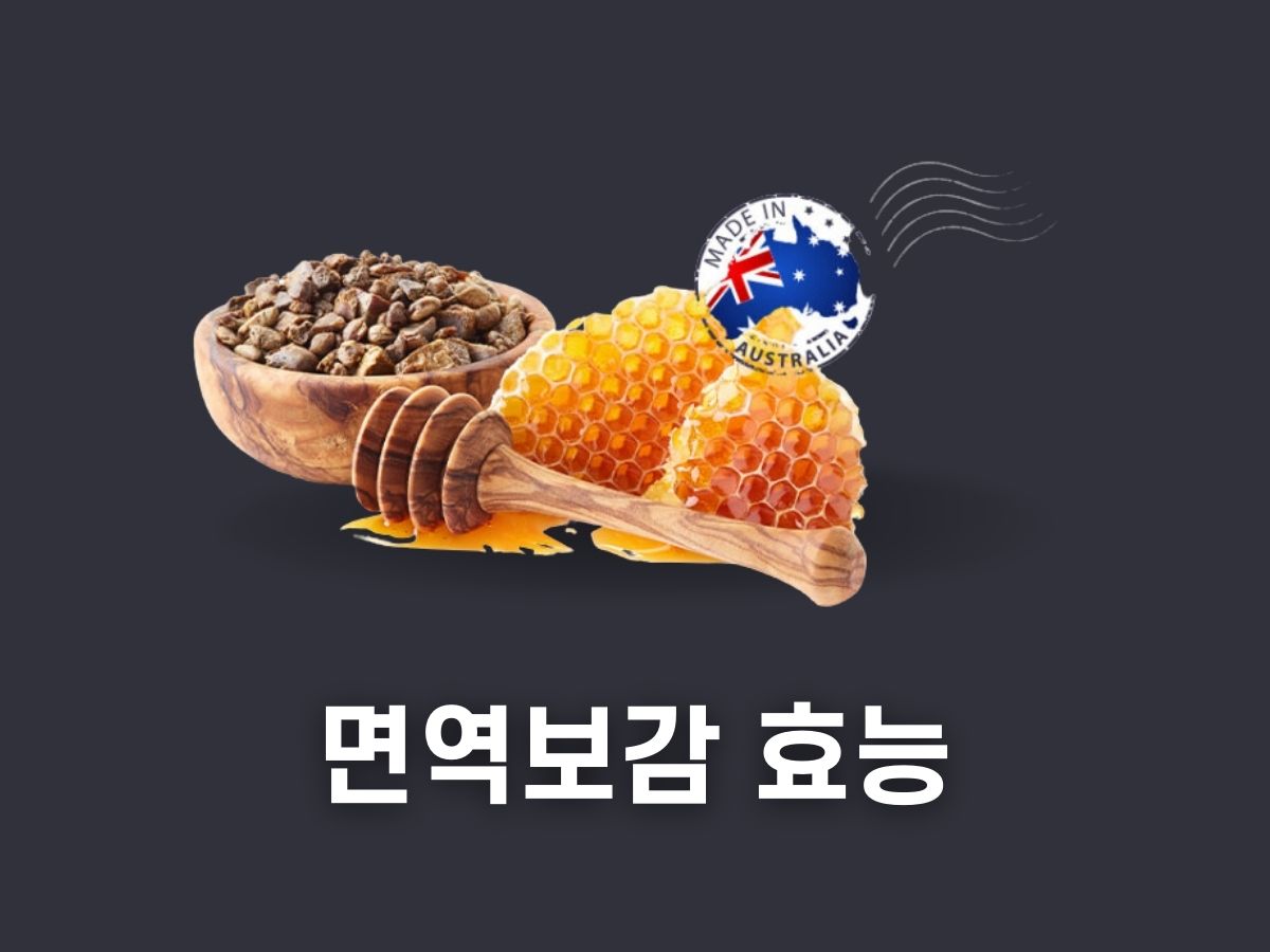 광동 맑은 365 면역보감 효능