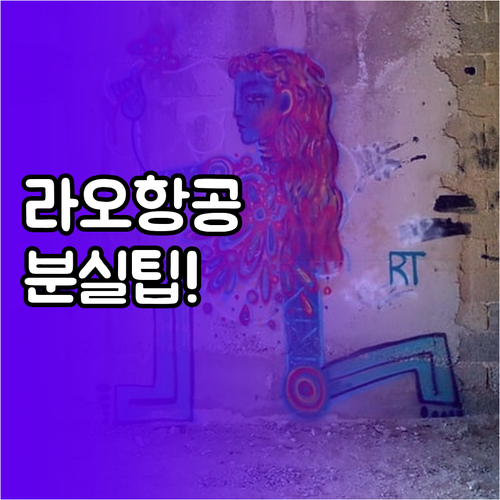 라오항공 위탁수하물 주의사항 및 분실..