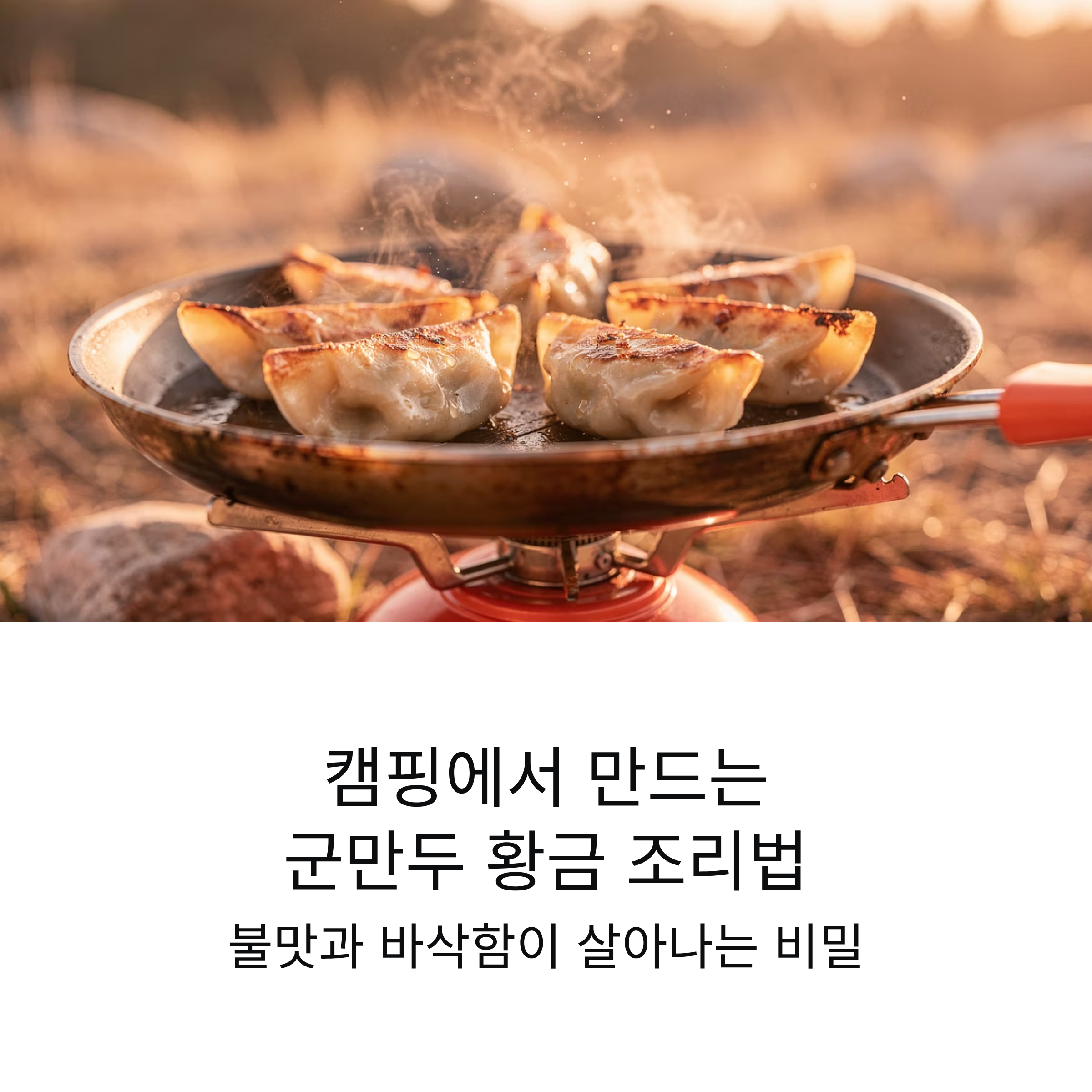 캠핑에서 만드는 군만두 황금 조리법