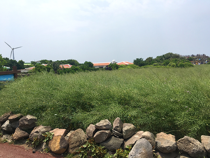 가파도-풍경-자전거-타고-즐기기5