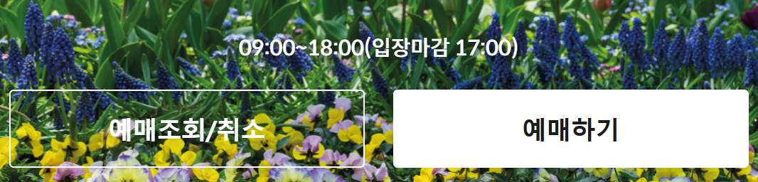 화담숲 예매하기