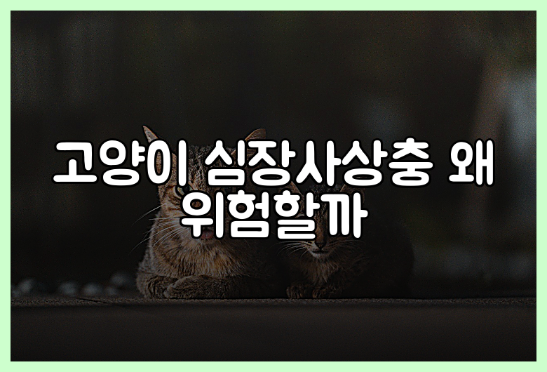 고양이 심장사상충 왜 위험할까