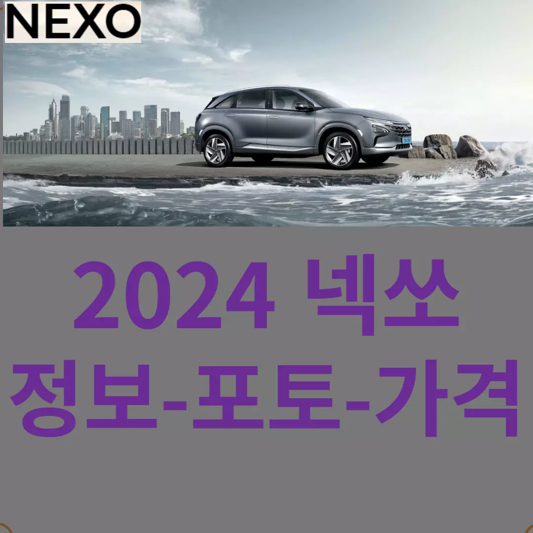 2024 넥쏘 정보-제원-포토-가격 총정리