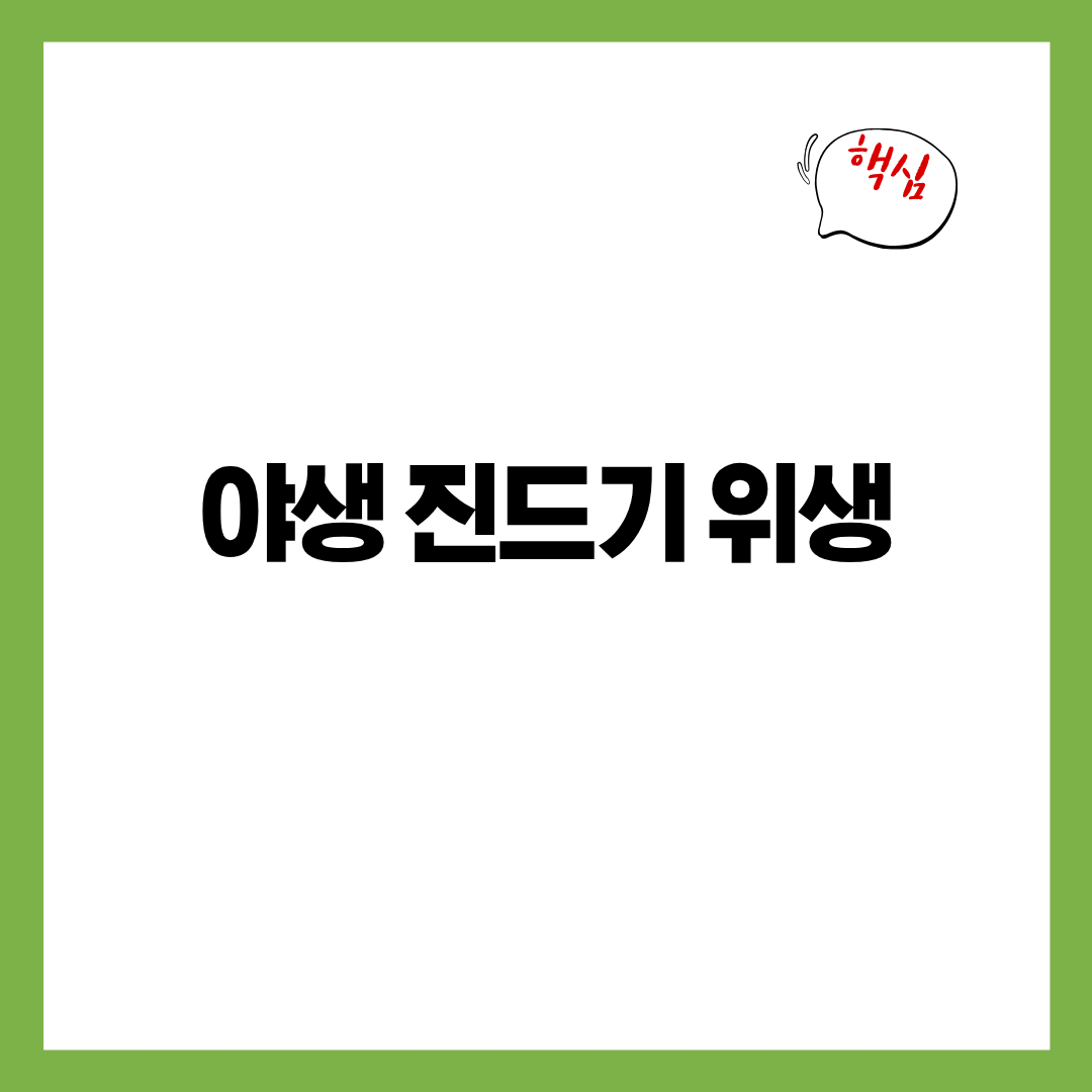 야외 활동 중 진드기 노출 줄이는 실제 위생 수칙