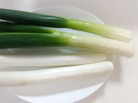 대파 음식 신선도 유지