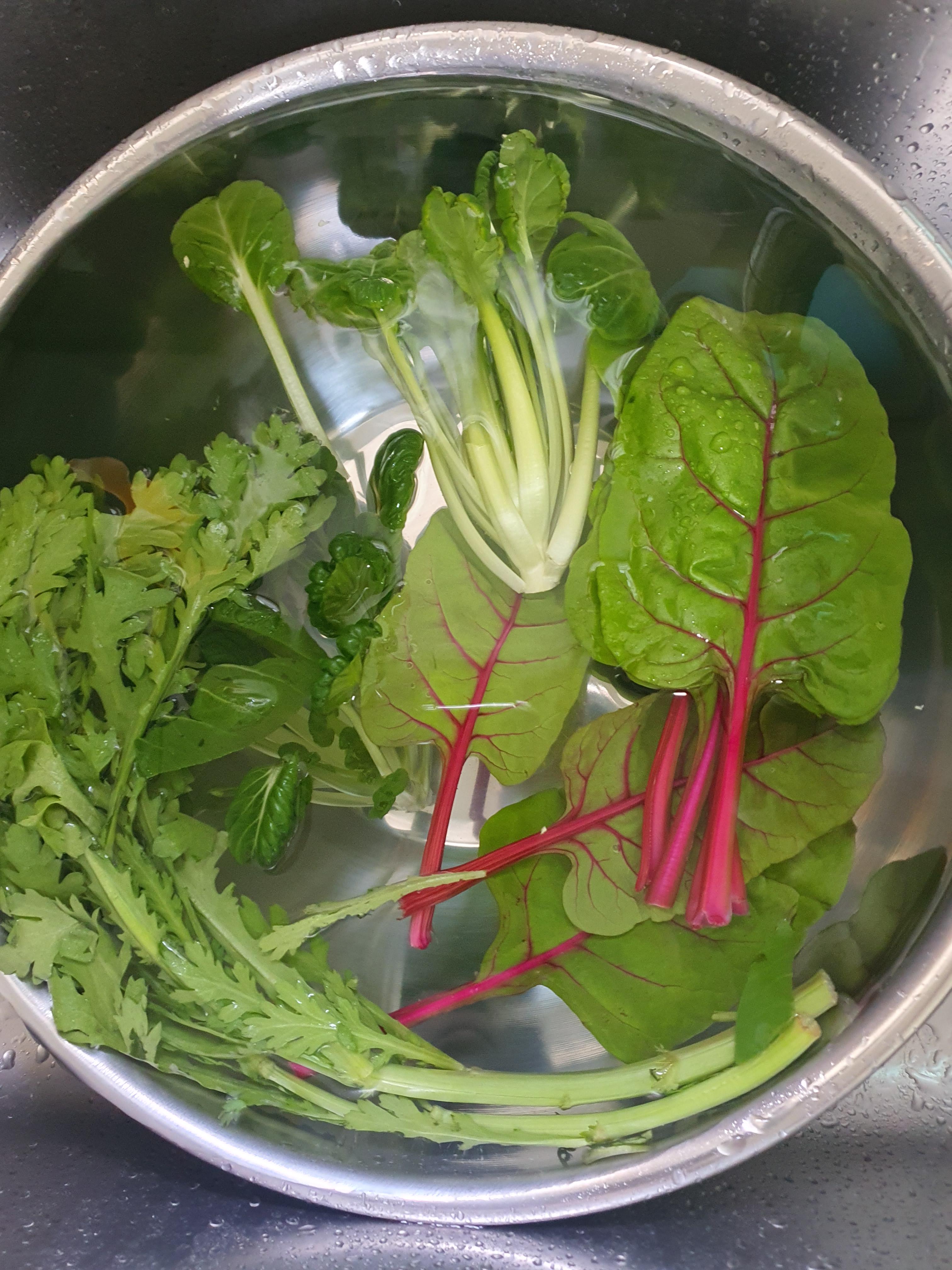 초록-야채들도-있어요.