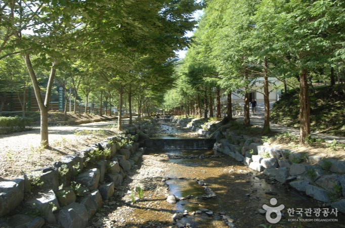 칠갑산 자연휴양림