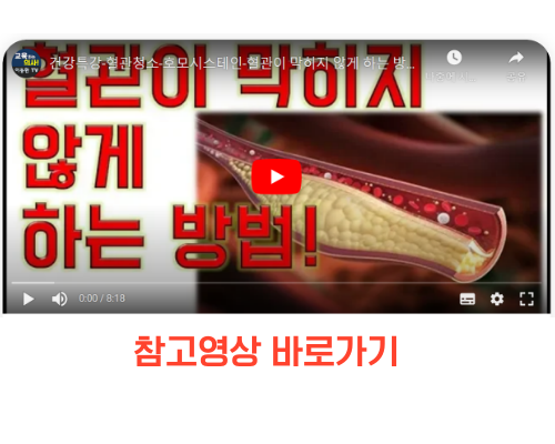 혈관관리 참고영상 바로가기