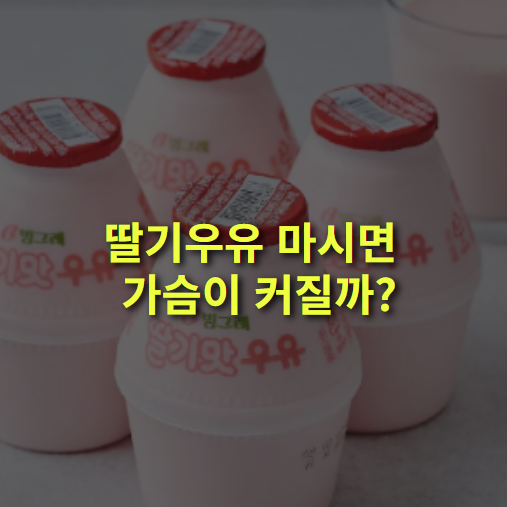 딸기우유가 마시면 가슴이 커질까? 여성호르몬 성분, 유전.